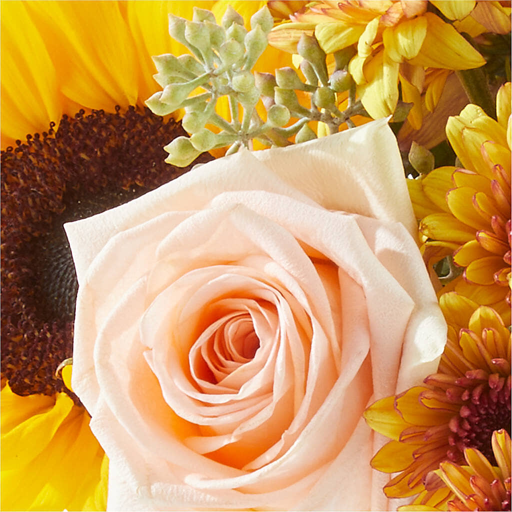 Pumpkin to Talk About Bouquet –  Monarca Florist, Yonkers NY