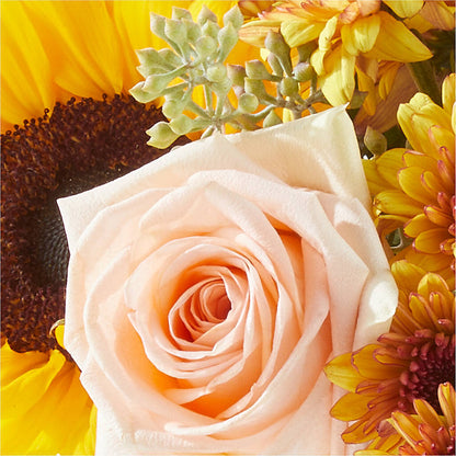 Pumpkin to Talk About Bouquet –  Monarca Florist, Yonkers NY