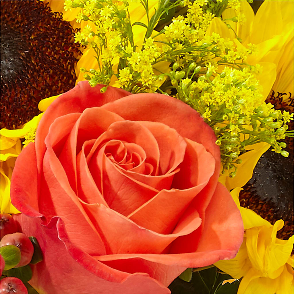 Pick of the Patch Pumpkin Bouquet –  Monarca Florist, Yonkers NY