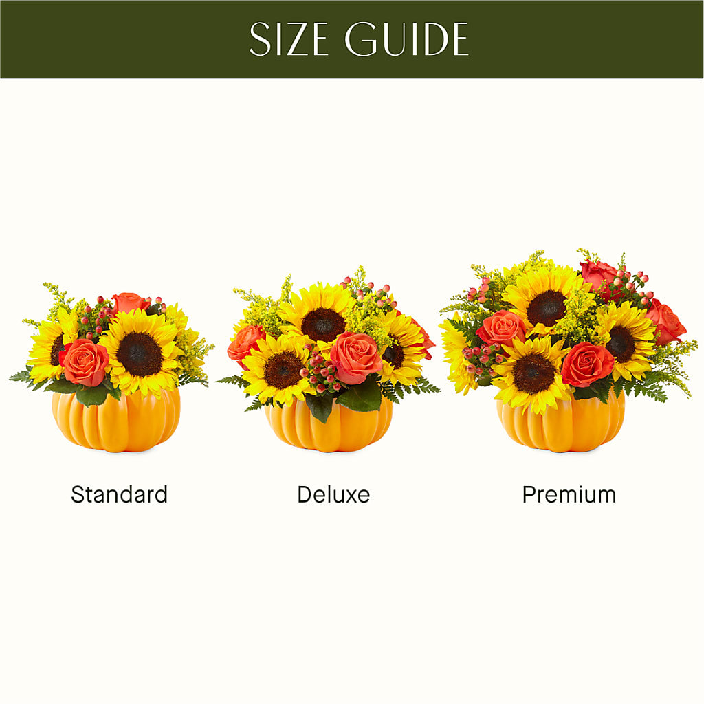 Pick of the Patch Pumpkin Bouquet –  Monarca Florist, Yonkers NY