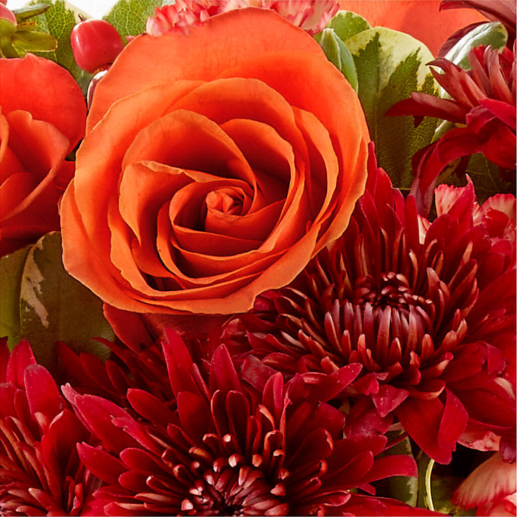 Autumn Air Pumpkin Bouquet –  Monarca Florist, Yonkers NY