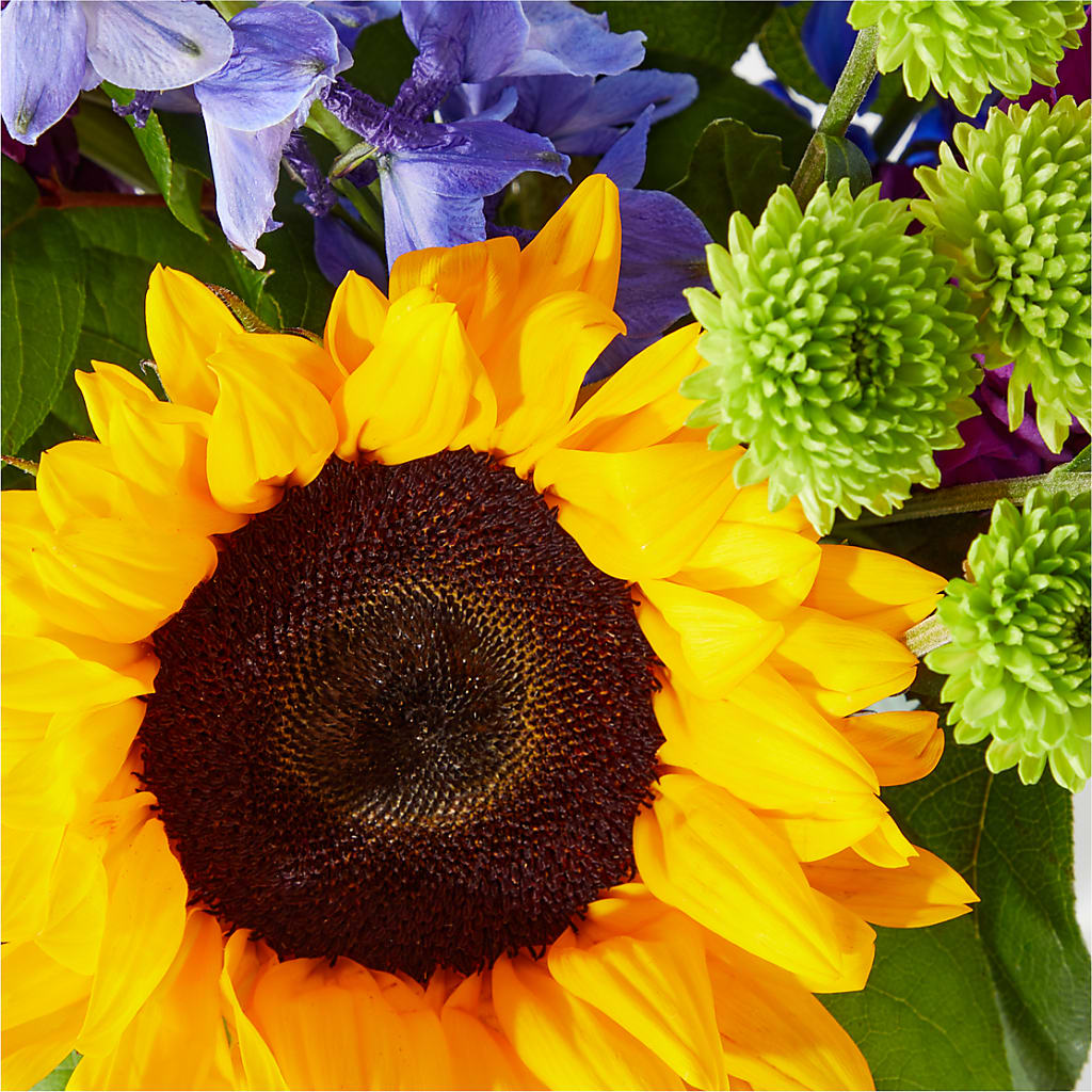 Catching Rays Bouquet –  Monarca Florist, Yonkers NY