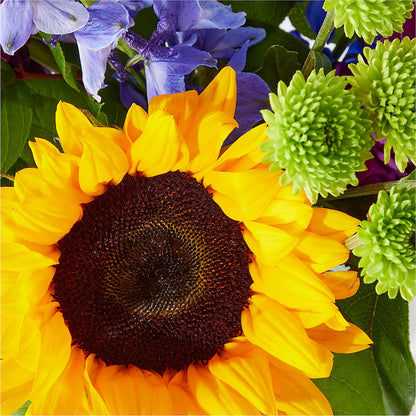 Catching Rays Bouquet –  Monarca Florist, Yonkers NY