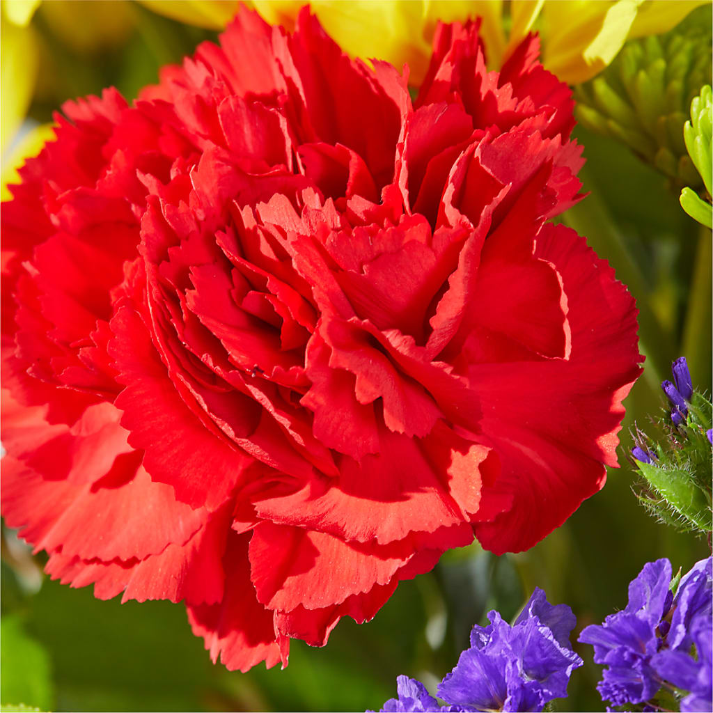 Brighter Days Bouquet –  Monarca Florist, Yonkers NY