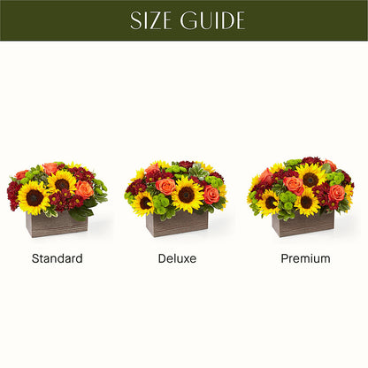 Happy Harvest Garden –  Monarca Florist, Yonkers NY