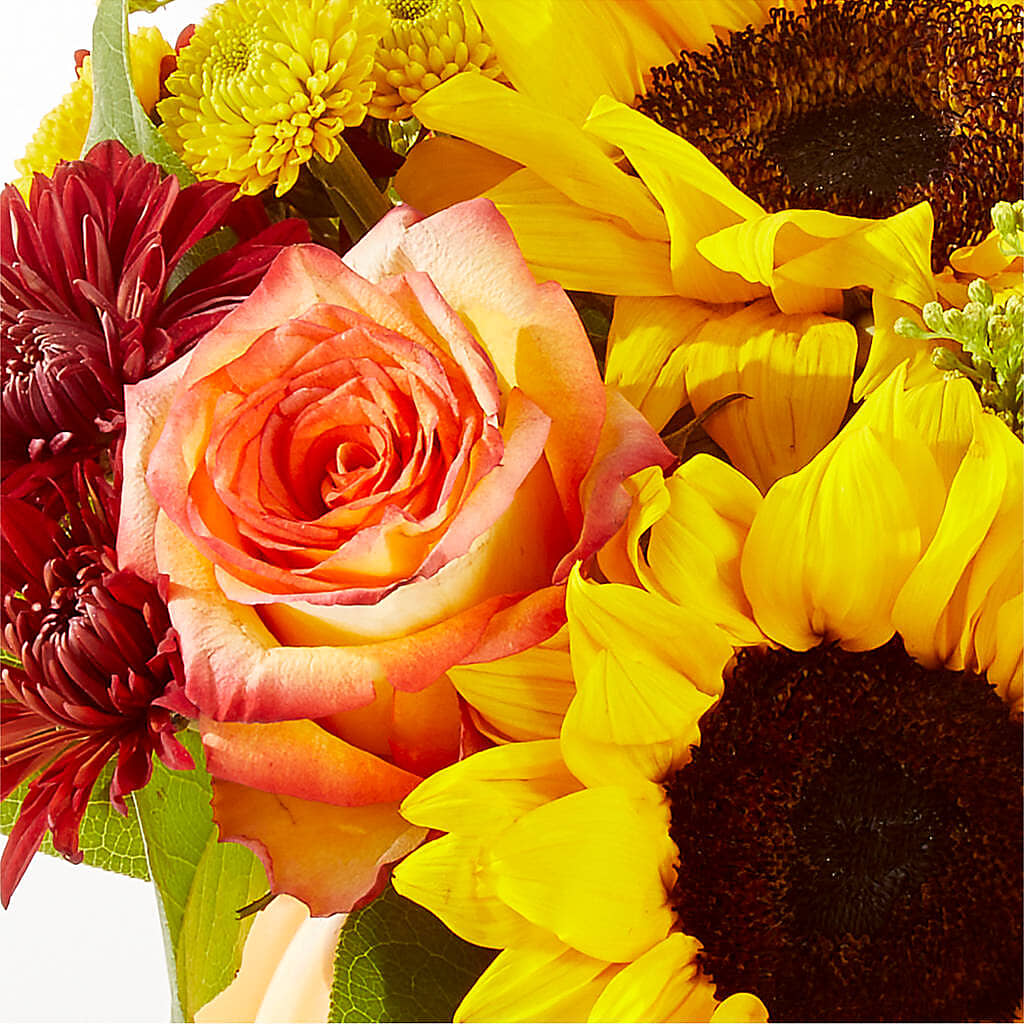 Golden Gourd Pumpkin Bouquet –  Monarca Florist, Yonkers NY