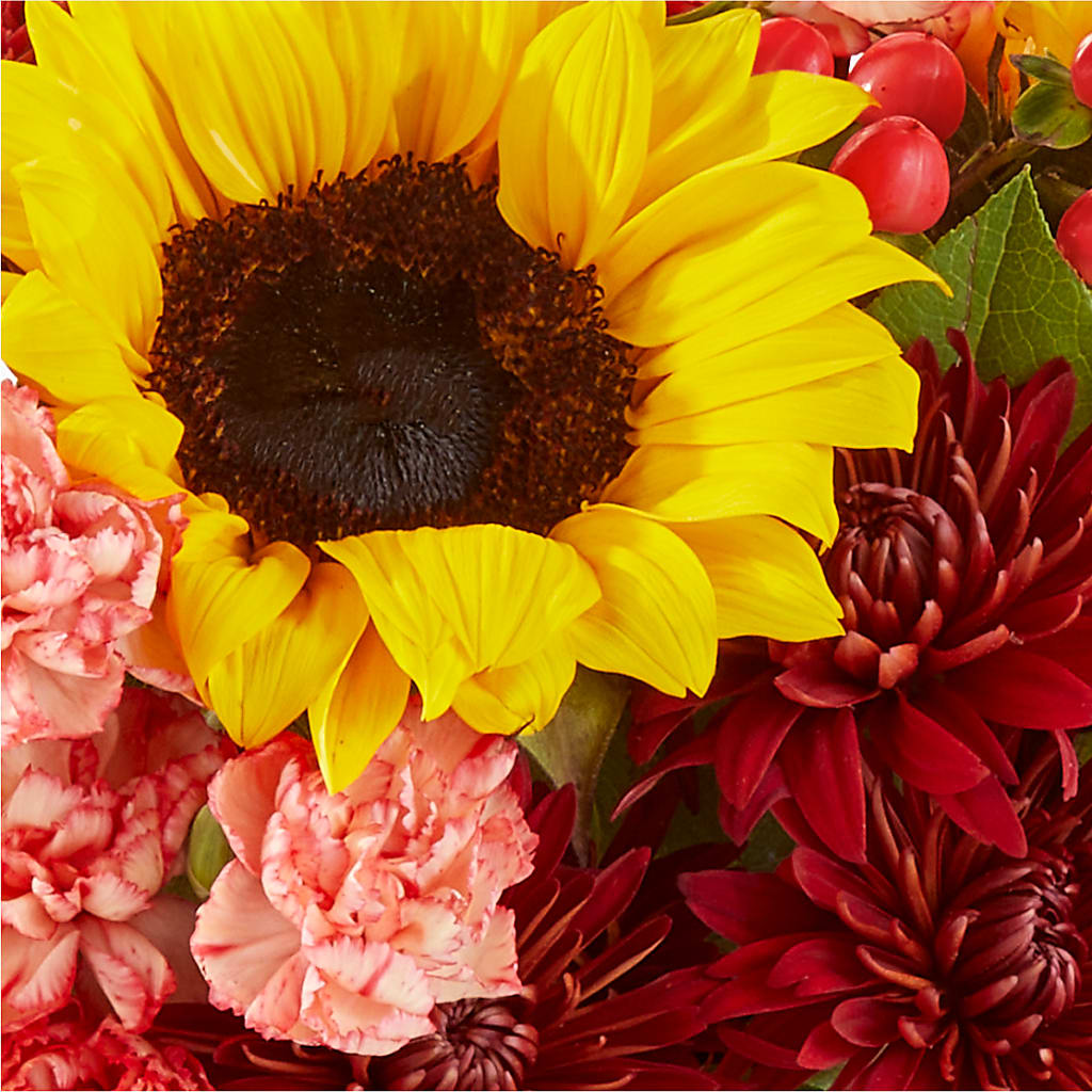 Fresh Cider Bouquet –  Monarca Florist, Yonkers NY