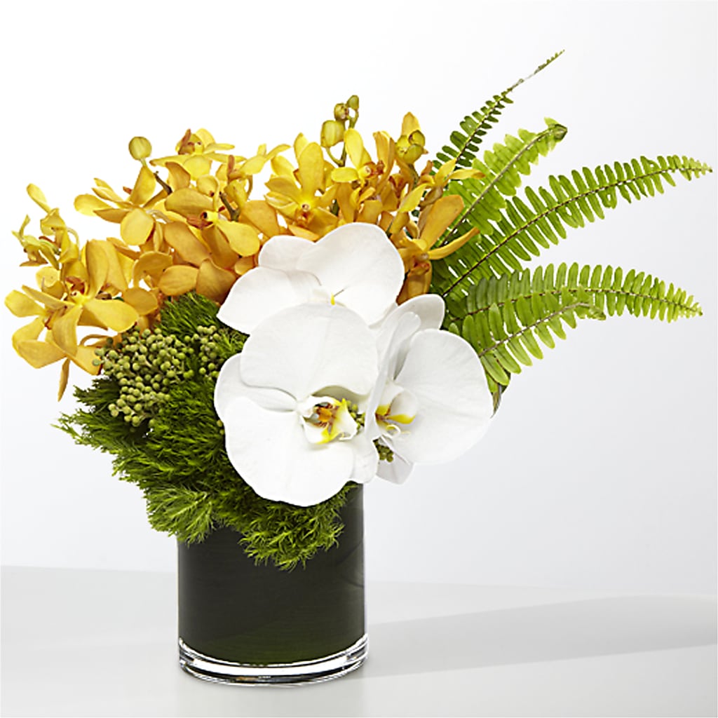 The Tropics –  Monarca Florist, Yonkers NY
