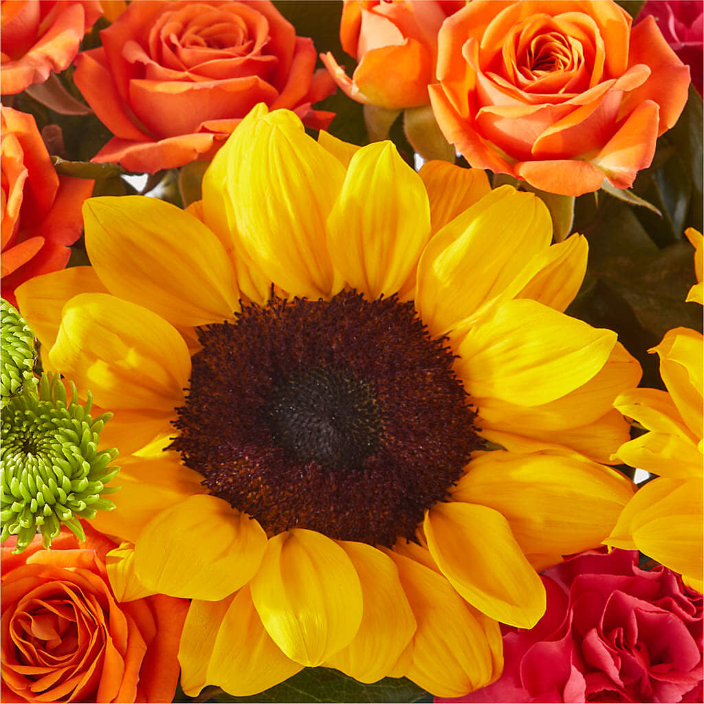 Sun-drenched Blooms Box Bouquet –  Monarca Florist, Yonkers NY