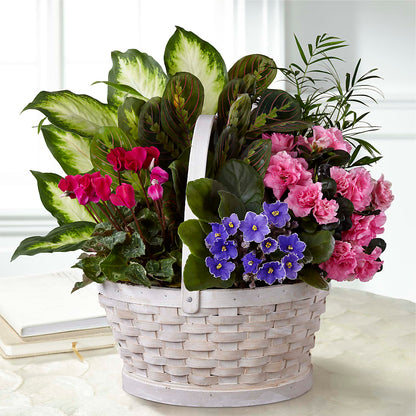 Peaceful Garden Planter –  Monarca Florist, Yonkers NY