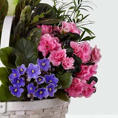 Peaceful Garden Planter –  Monarca Florist, Yonkers NY