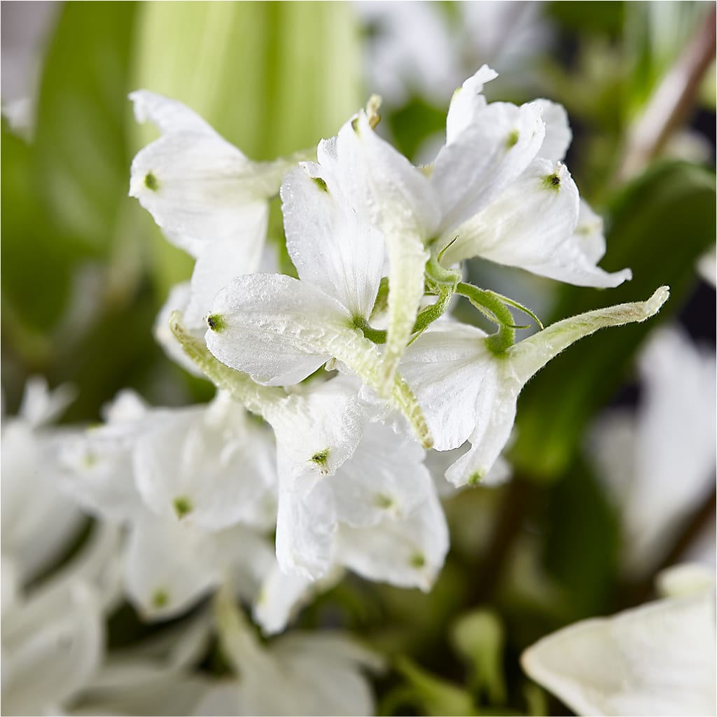 Classic Ivory – A Florist Original –  Monarca Florist, Yonkers NY