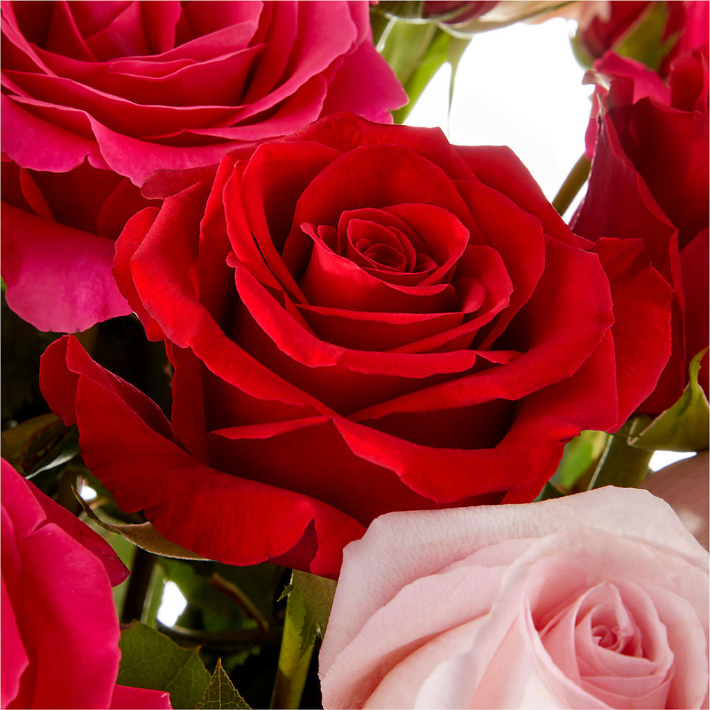 Love Notes Rose Bouquet –  Monarca Florist, Yonkers NY
