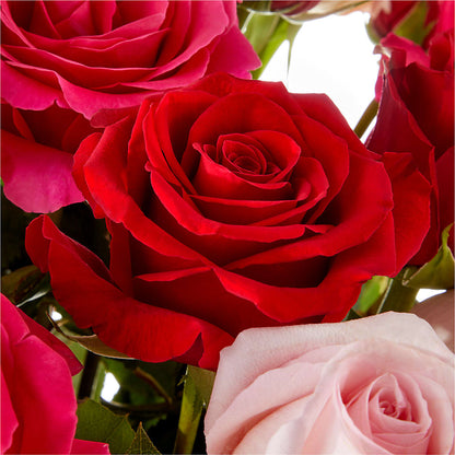 Love Notes Rose Bouquet –  Monarca Florist, Yonkers NY