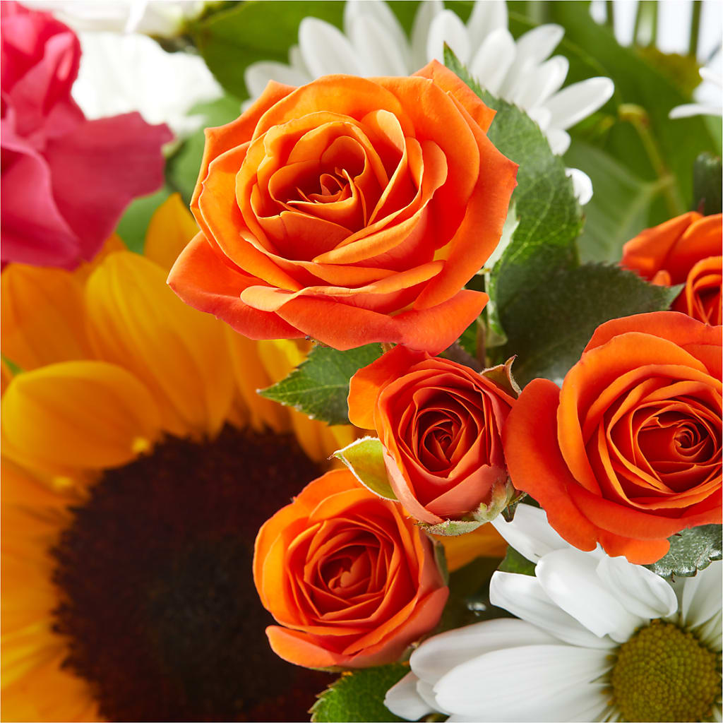 Sun-drenched Blooms Bouquet –  Monarca Florist, Yonkers NY