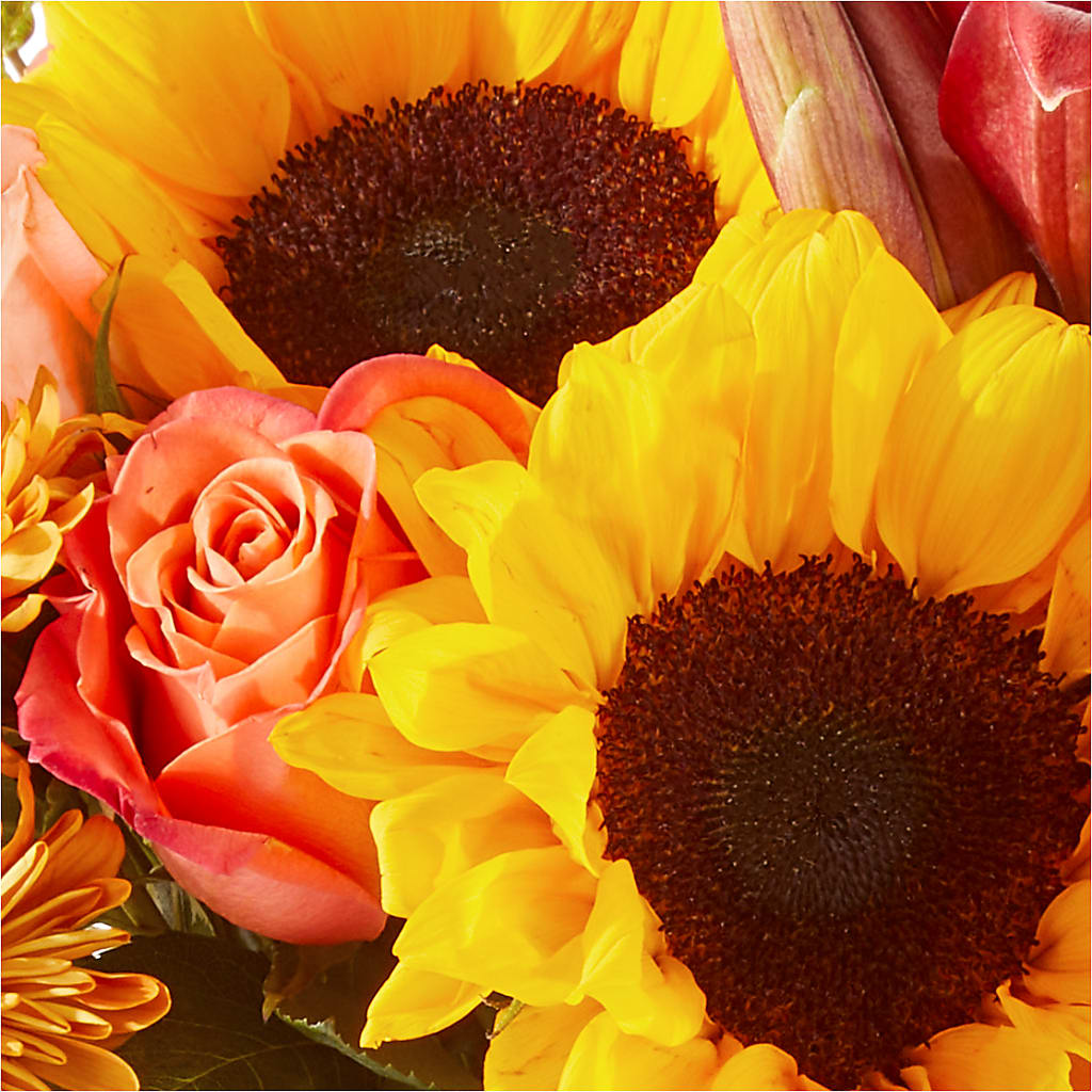 Acorn Lane Bouquet –  Monarca Florist, Yonkers NY