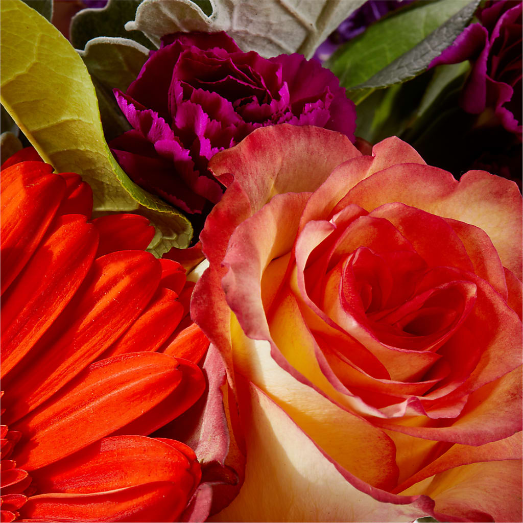Sangria Bouquet –  Monarca Florist, Yonkers NY
