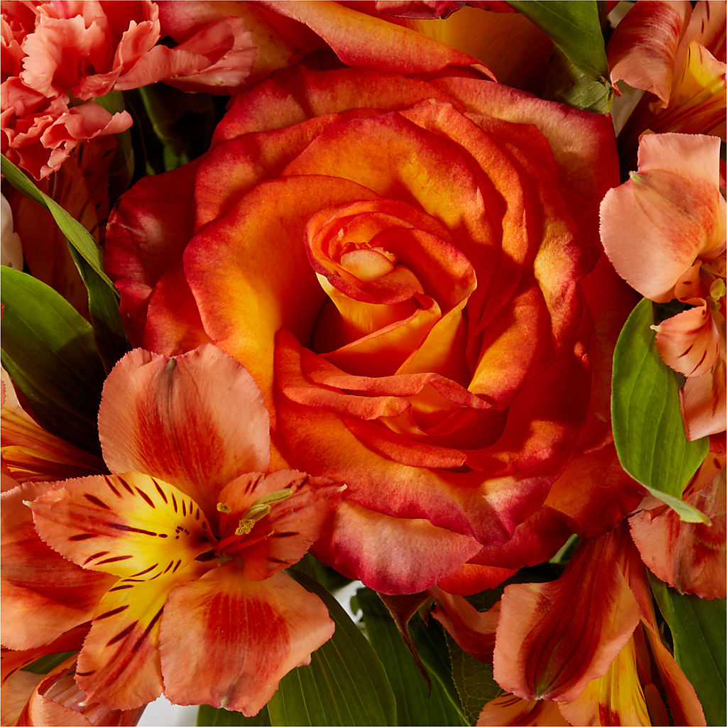 Apricot Glow Bouquet –  Monarca Florist, Yonkers NY