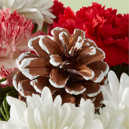 Candy Cane Lane Bouquet –  Monarca Florist, Yonkers NY