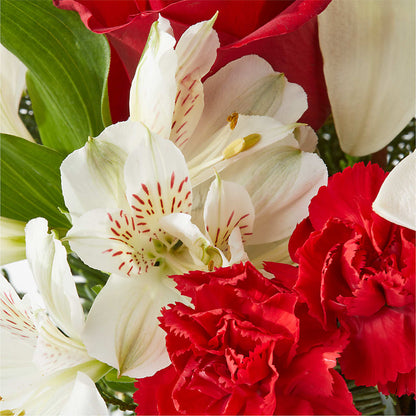 Holiday Season Bouquet –  Monarca Florist, Yonkers NY