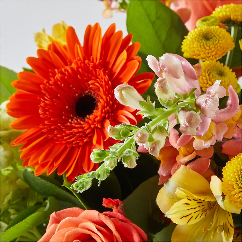 Autumn Sunshine Bouquet –  Monarca Florist, Yonkers NY