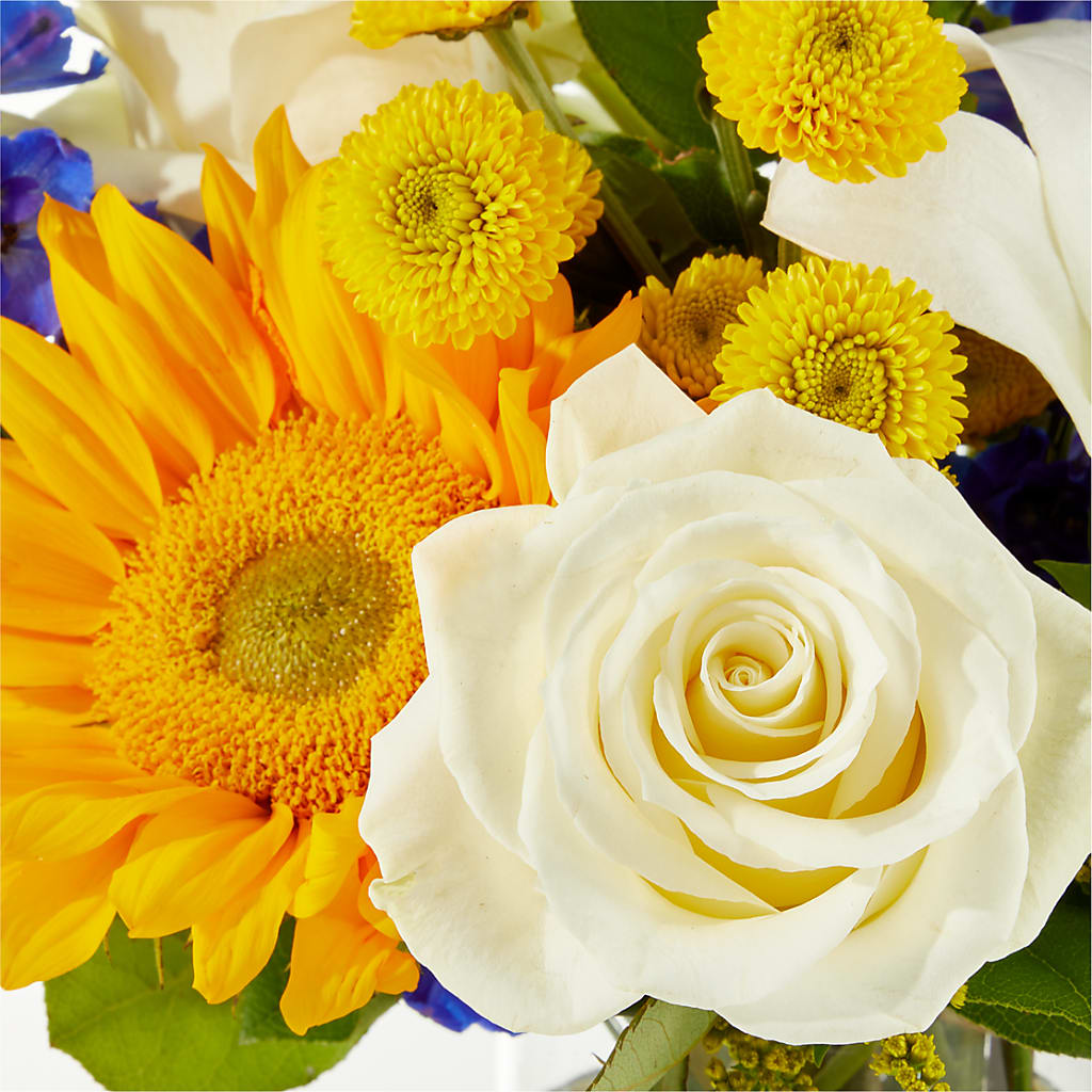 Stargazing Bouquet –  Monarca Florist, Yonkers NY