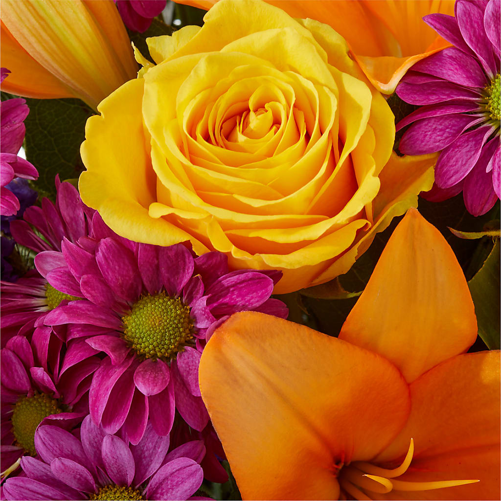 Colorful Visions Bouquet –  Monarca Florist, Yonkers NY