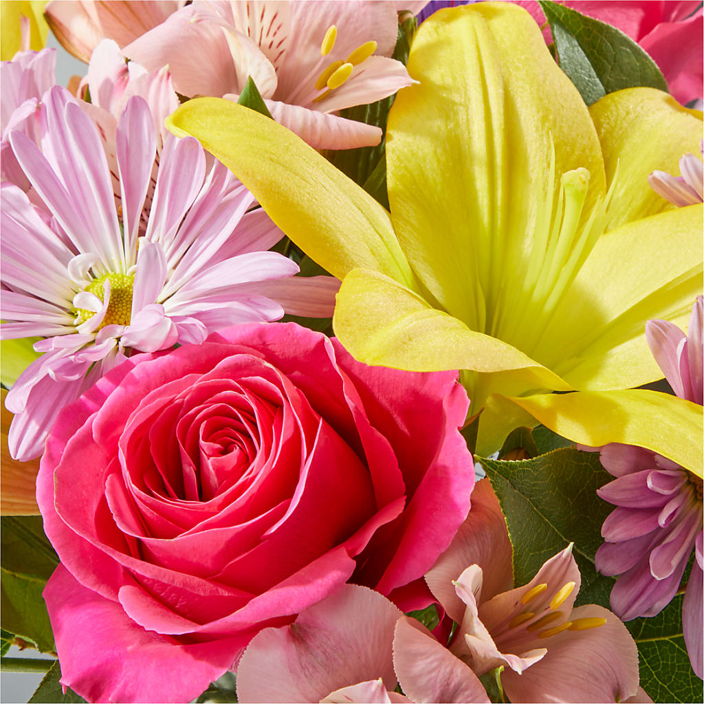 Sprinkles Bouquet –  Monarca Florist, Yonkers NY