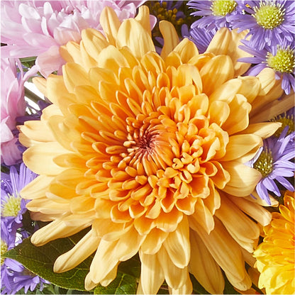 Countryside Bouquet –  Monarca Florist, Yonkers NY