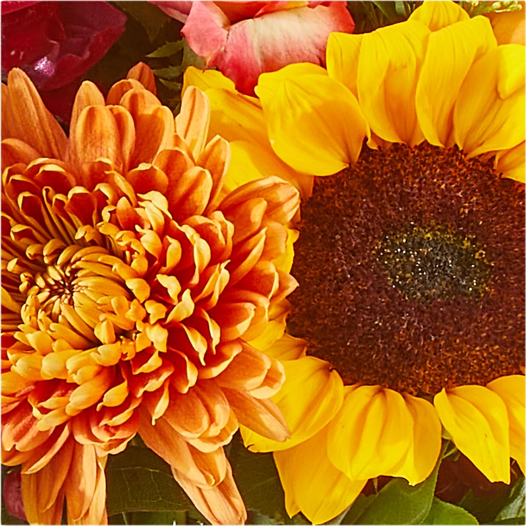 Seasons Change Bouquet –  Monarca Florist, Yonkers NY