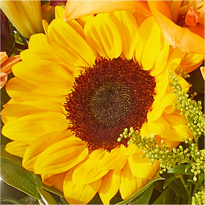 Seasons Change Bouquet –  Monarca Florist, Yonkers NY