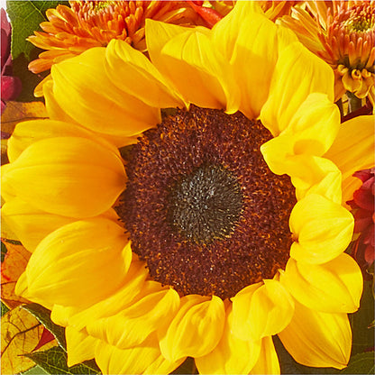 Sunny Side Bouquet –  Monarca Florist, Yonkers NY