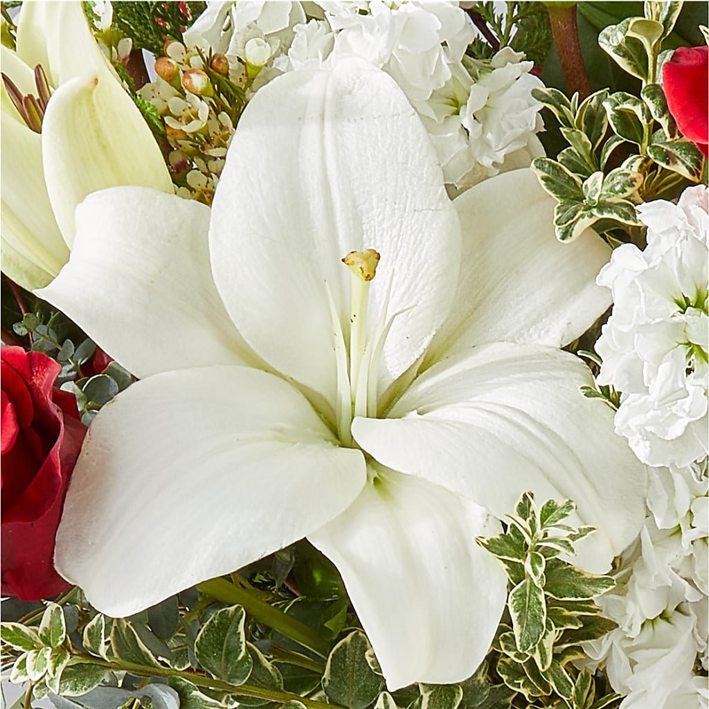 Twinkle Lights Bouquet –  Monarca Florist, Yonkers NY