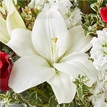 Twinkle Lights Bouquet –  Monarca Florist, Yonkers NY