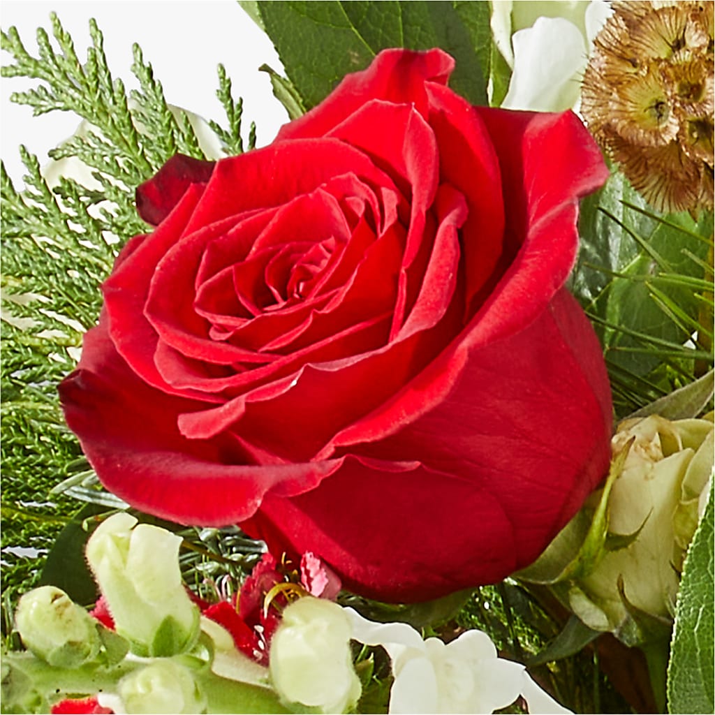 Deck the Halls Bouquet –  Monarca Florist, Yonkers NY