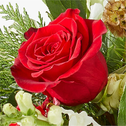 Deck the Halls Bouquet –  Monarca Florist, Yonkers NY