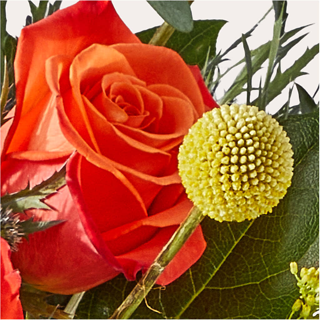 Disco Bouquet –  Monarca Florist, Yonkers NY