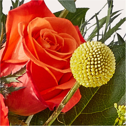 Disco Bouquet –  Monarca Florist, Yonkers NY