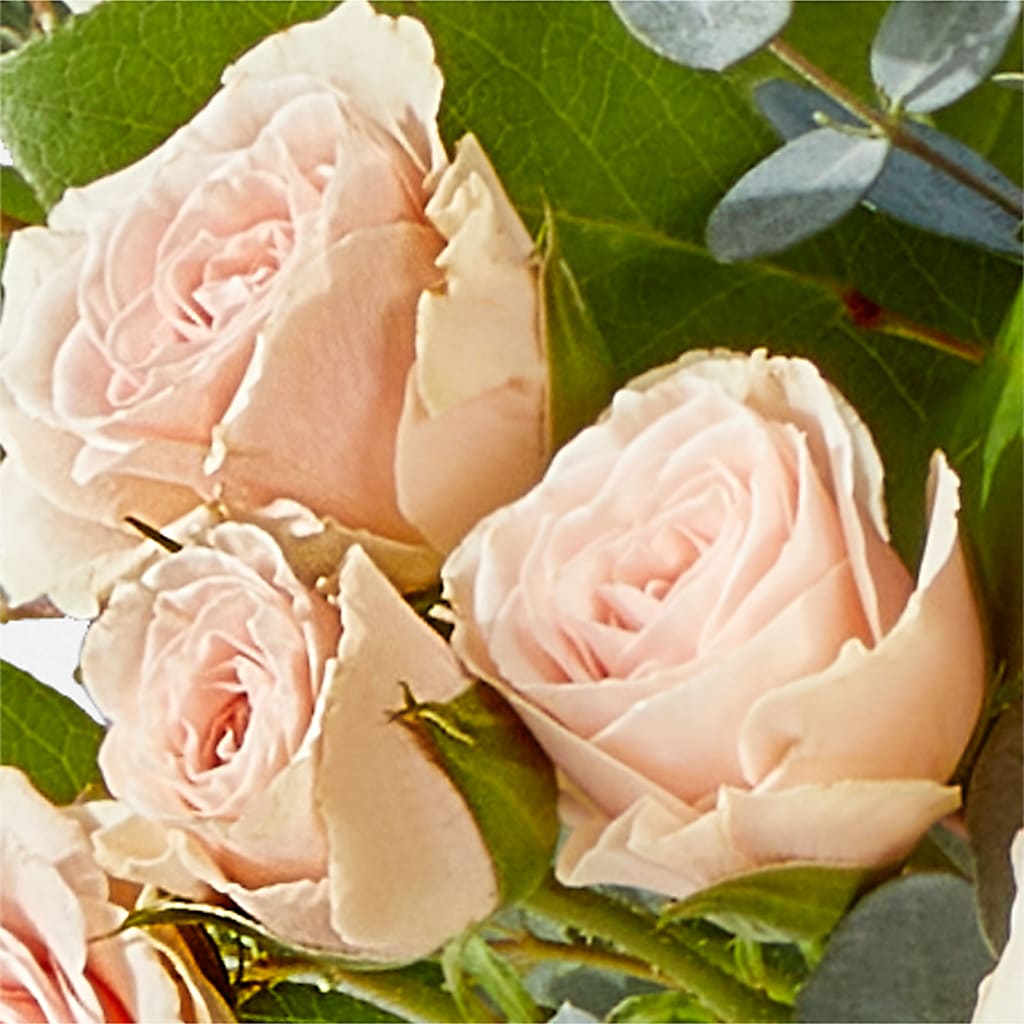 Inspired Bouquet –  Monarca Florist, Yonkers NY