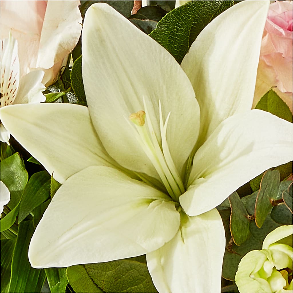 Ballet Slippers Bouquet –  Monarca Florist, Yonkers NY