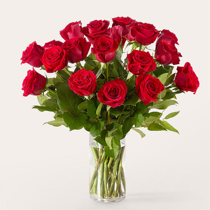 The One Red Rose Bouquet –  Monarca Florist, Yonkers NY
