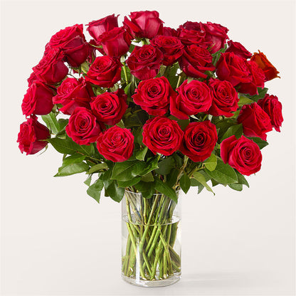 The One Red Rose Bouquet –  Monarca Florist, Yonkers NY
