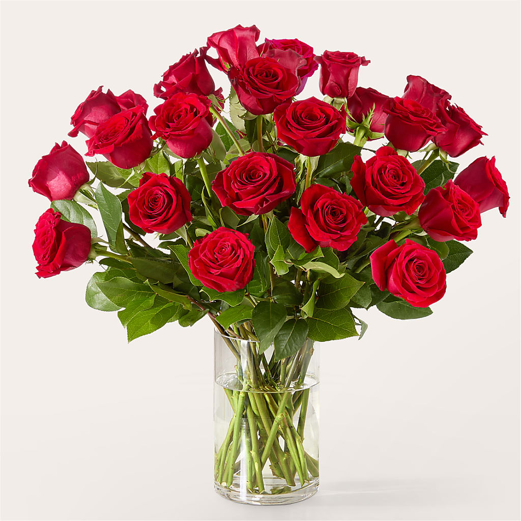 The One Red Rose Bouquet –  Monarca Florist, Yonkers NY