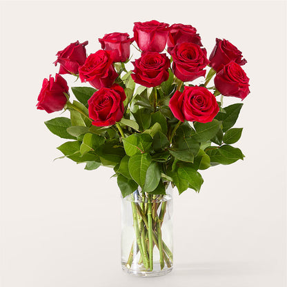 The One Red Rose Bouquet –  Monarca Florist, Yonkers NY