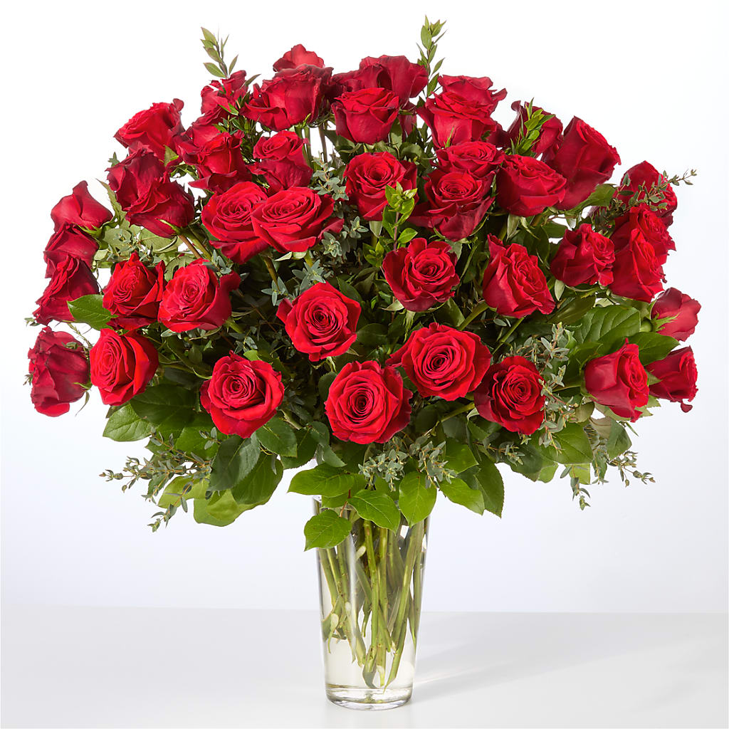 Forever Yours Fifty Stem Red Rose Bouquet –  Monarca Florist, Yonkers NY