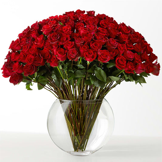 The Idealist –  Monarca Florist, Yonkers NY