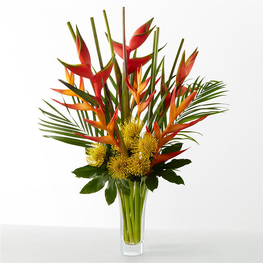 The Drama –  Monarca Florist, Yonkers NY