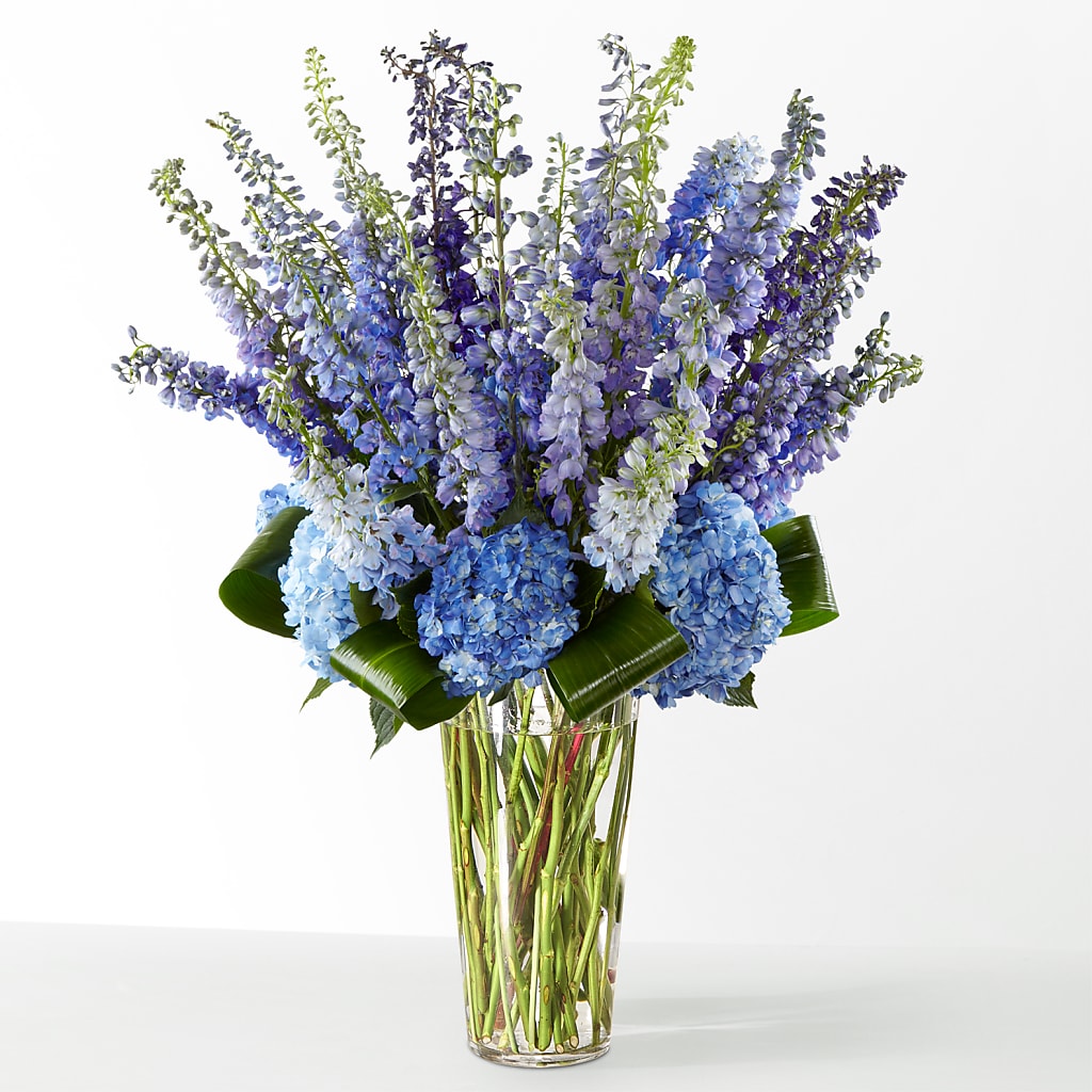 The Editorial –  Monarca Florist, Yonkers NY