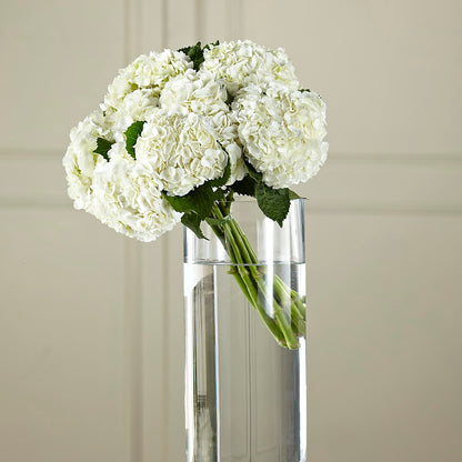 White Hydrangea Hand-Tied Bouquet –  Monarca Florist, Yonkers NY
