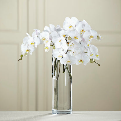 White Phalaenopsis Bouquet –  Monarca Florist, Yonkers NY